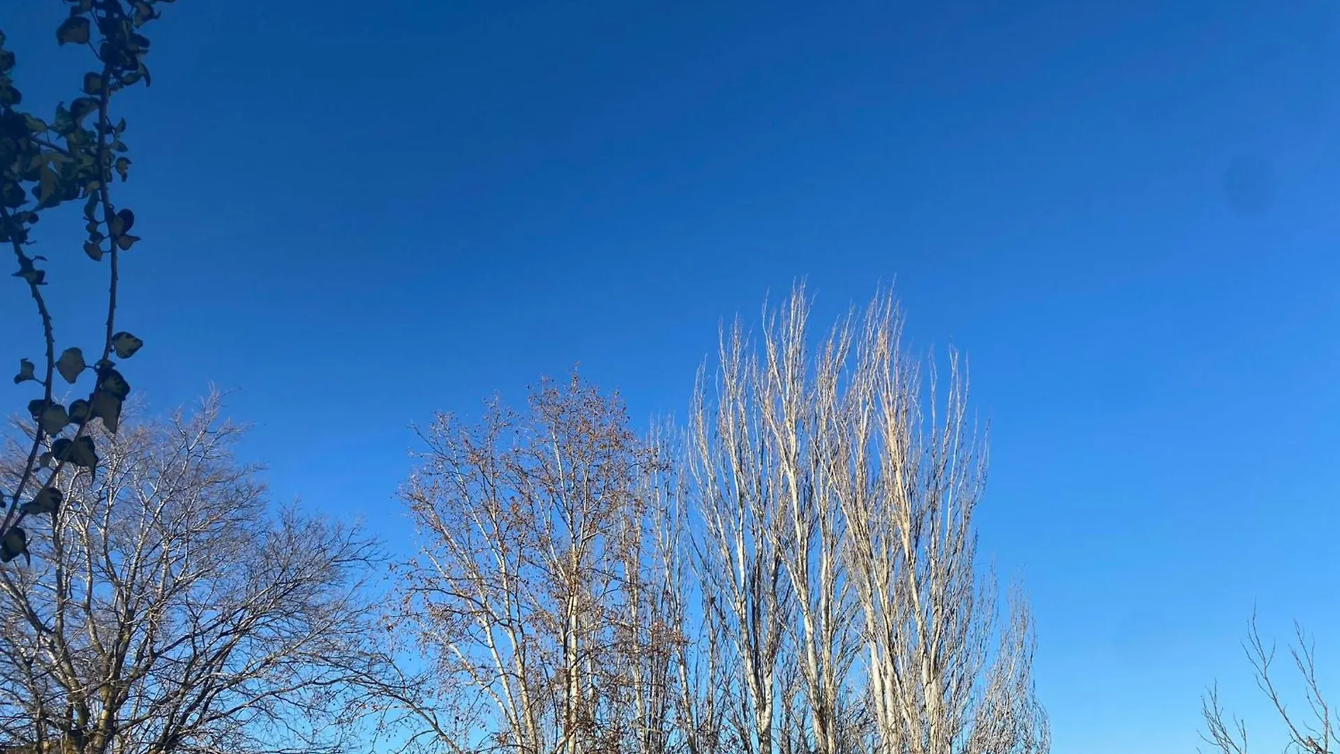 La Geneta Casa Vacacional Villa Vilobi Del Penedes