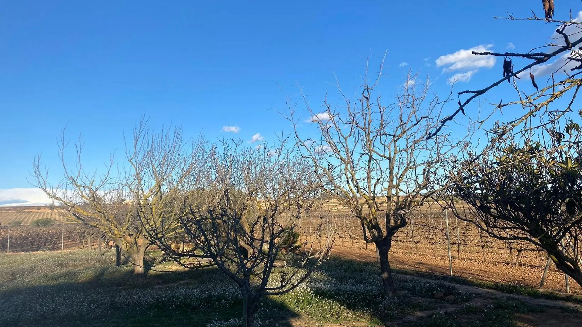 La Geneta Casa Vacacional Villa Vilobi Del Penedes 0*,  Spain